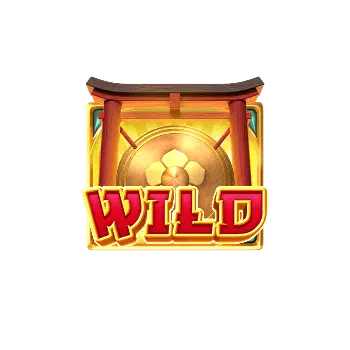 สัญลักษณ์อักษร Wild