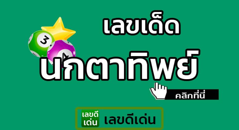  นกตาทิพย์ 30 12 65