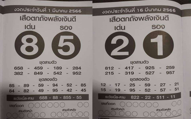  เสือตกถังพลังเงินดี 1 4 66