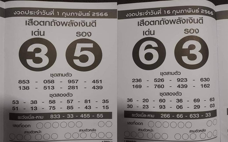  เสือตกถังพลังเงินดี ปี 2565