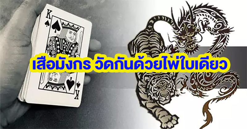 เทคนิคเล่นไพ่เสือมังกร