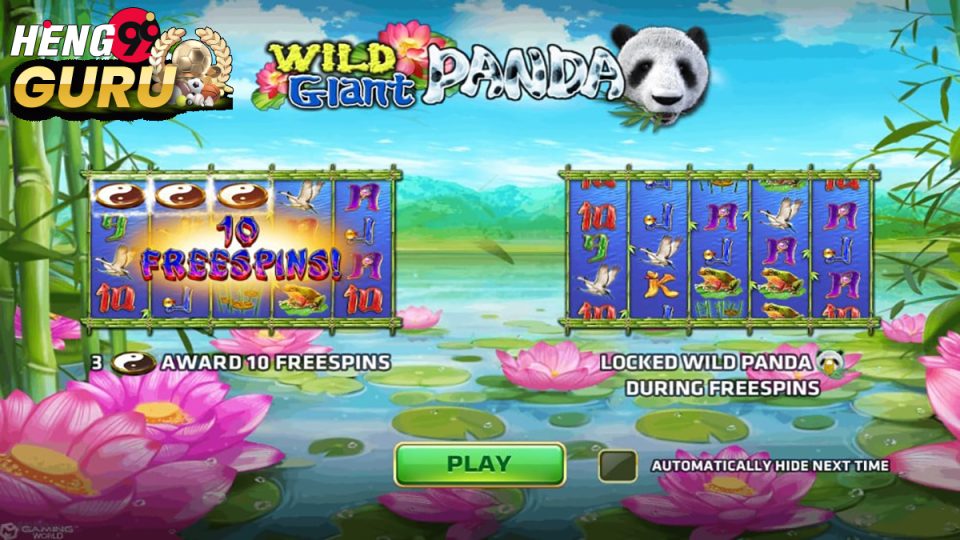Panda Panda