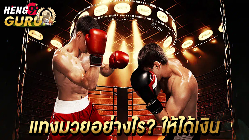 เทคนิคการแทงมวยออนไลน์ -"Boxing betting"