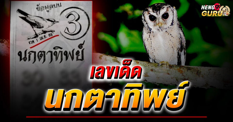 นกตาทิพย์-"Clairvoyant bird"