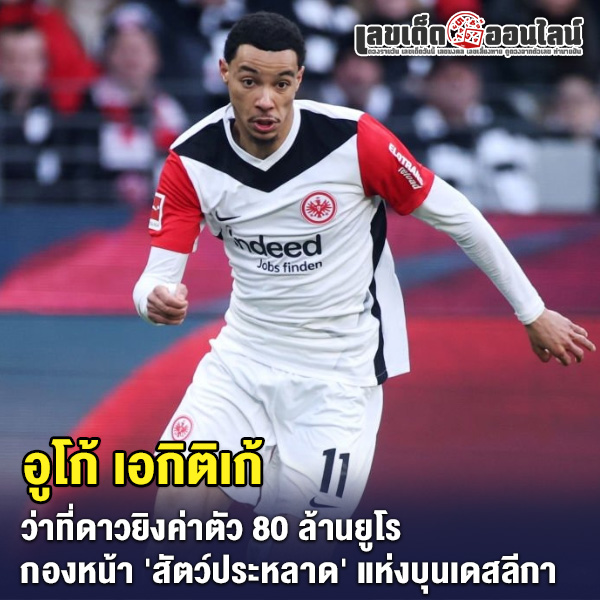 รูปภาพ อูโก้ เอกิติเก้ ของ lekdedonline