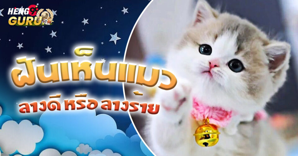 ทำนายฝัน ฝันเห็นแมว - "lottery"