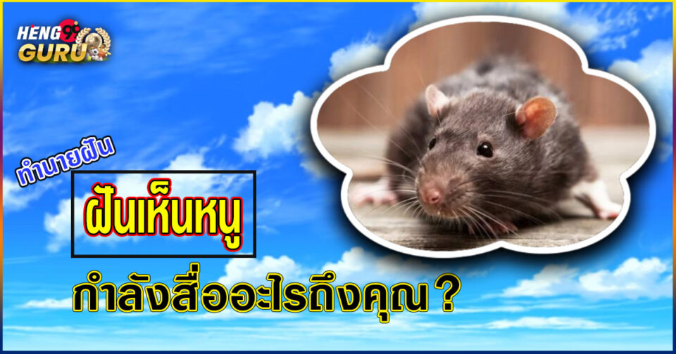 ฝันเห็นหนู-"Dream of seeing a mouse"
