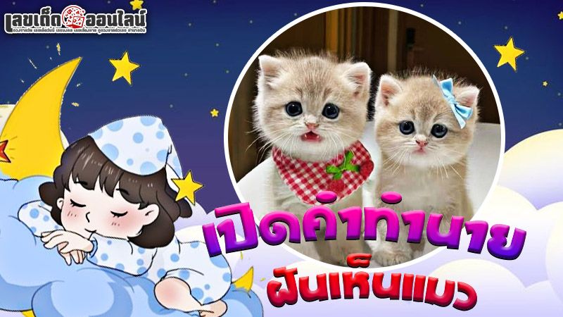รูปภาพเปิดทำนายฝัน ฝันเห็นแมวของ lekdedonline