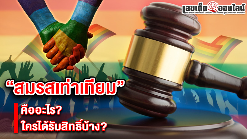 รูปภาพสมรสเท่าเทียมคืออะไรของ lekdedonline