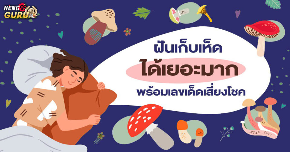 ทำนายฝัน ฝันเก็บเห็ดได้เยอะมาก -"Dream interpretation Dreaming of collecting a lot of mushrooms"