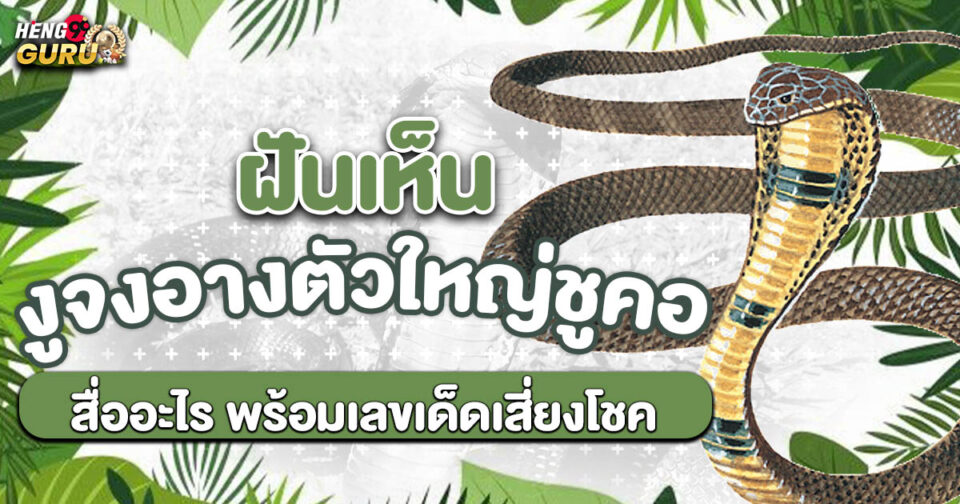 ฝันเห็นงูจงอางตัวใหญ่ชูคอ -"Dreaming of a large king cobra raising its neck"